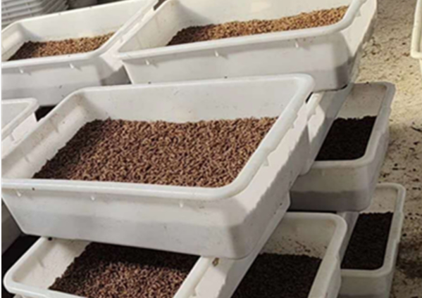 廣東塑料周轉(zhuǎn)箱未來發(fā)展趨勢如何？平時(shí)如何保養(yǎng)維護(hù)？