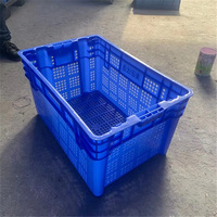 廣西百色芒果基地迎豐收，預(yù)計產(chǎn)量創(chuàng)歷史新高超90萬噸！