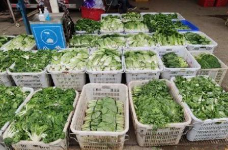 2022年北京冬奧會里的塑料新材料！