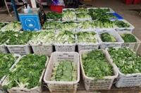 2022年北京冬奧會里的塑料新材料！